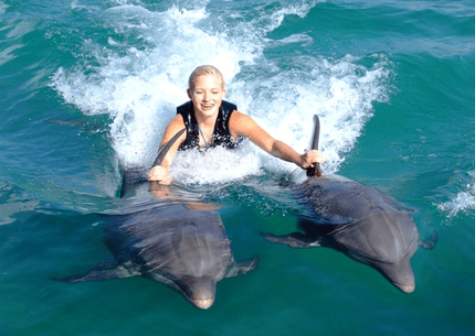 Royal Swim (Dolphin Cove Ocho Rios)